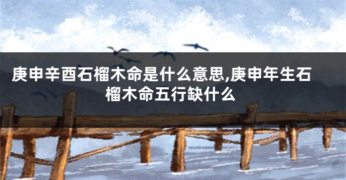庚申辛酉石榴木命是什么意思,庚申年生石榴木命五行缺什么