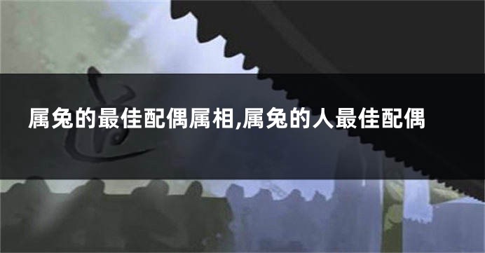属兔的最佳配偶属相,属兔的人最佳配偶