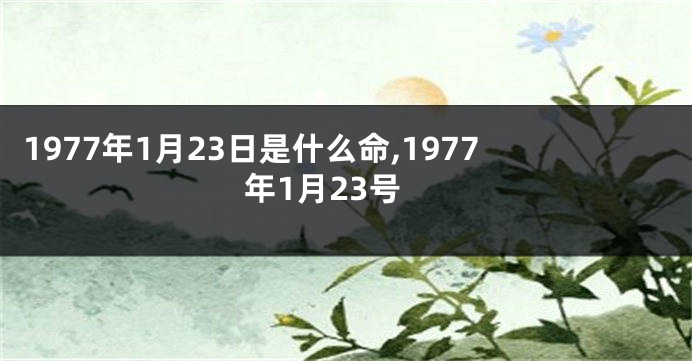 1977年1月23日是什么命,1977年1月23号