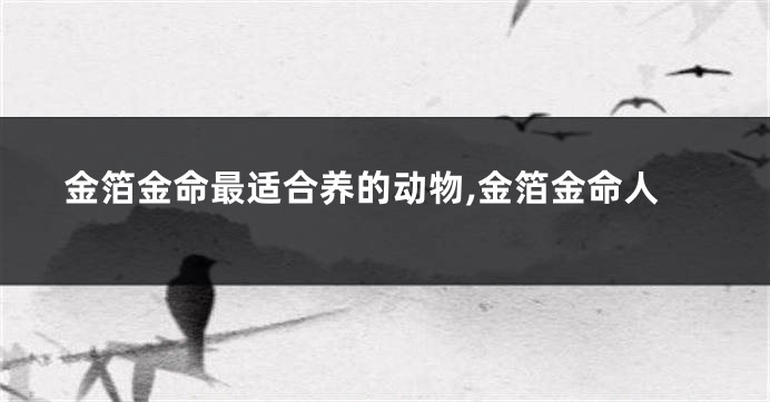 金箔金命最适合养的动物,金箔金命人