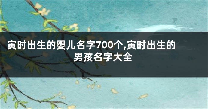 寅时出生的婴儿名字700个,寅时出生的男孩名字大全