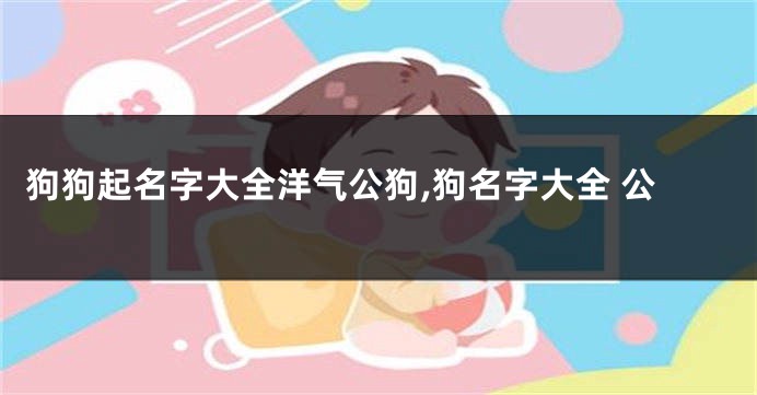 狗狗起名字大全洋气公狗,狗名字大全 公