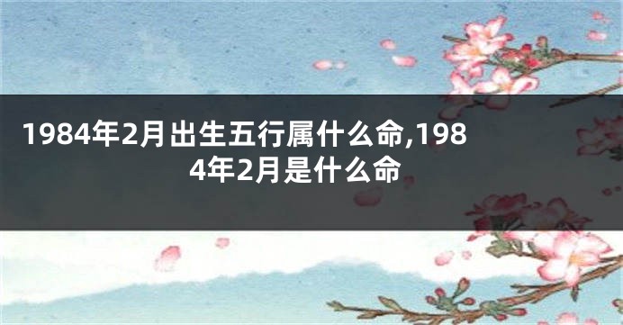1984年2月出生五行属什么命,1984年2月是什么命