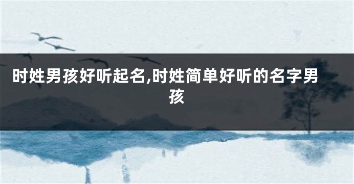 时姓男孩好听起名,时姓简单好听的名字男孩