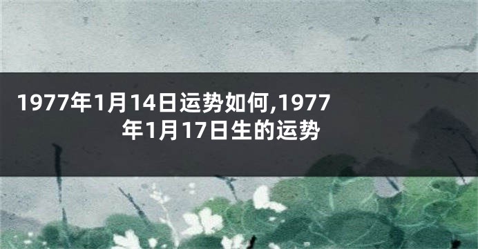 1977年1月14日运势如何,1977年1月17日生的运势