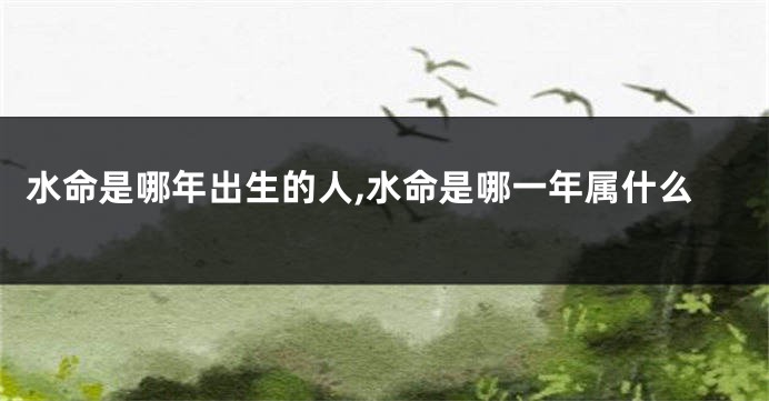 水命是哪年出生的人,水命是哪一年属什么