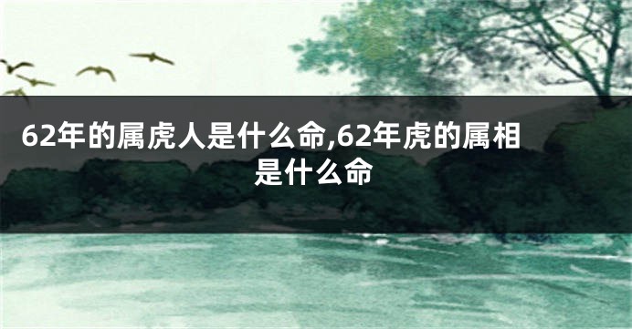 62年的属虎人是什么命,62年虎的属相是什么命