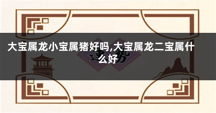 大宝属龙小宝属猪好吗,大宝属龙二宝属什么好