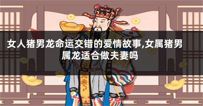 女人猪男龙命运交错的爱情故事,女属猪男属龙适合做夫妻吗
