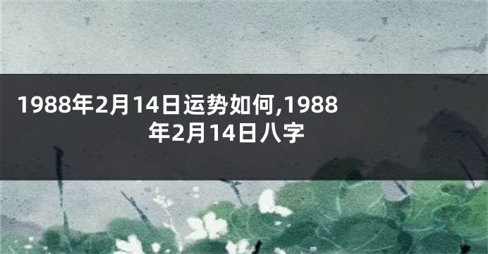 1988年2月14日运势如何,1988年2月14日八字