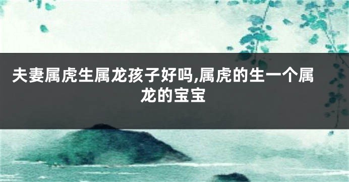 夫妻属虎生属龙孩子好吗,属虎的生一个属龙的宝宝