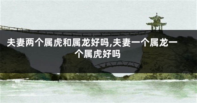 夫妻两个属虎和属龙好吗,夫妻一个属龙一个属虎好吗