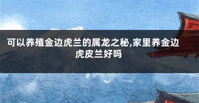 可以养殖金边虎兰的属龙之秘,家里养金边虎皮兰好吗