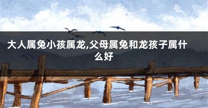 大人属兔小孩属龙,父母属兔和龙孩子属什么好