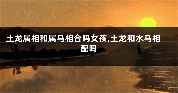 土龙属相和属马相合吗女孩,土龙和水马相配吗