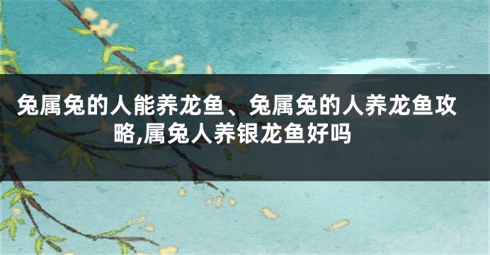 兔属兔的人能养龙鱼、兔属兔的人养龙鱼攻略,属兔人养银龙鱼好吗