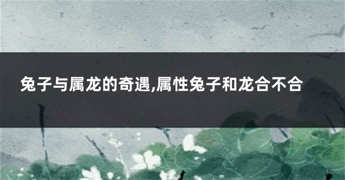 兔子与属龙的奇遇,属性兔子和龙合不合