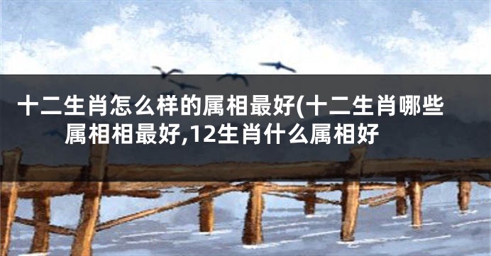 十二生肖怎么样的属相最好(十二生肖哪些属相相最好,12生肖什么属相好