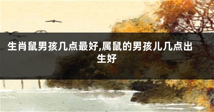 生肖鼠男孩几点最好,属鼠的男孩儿几点出生好