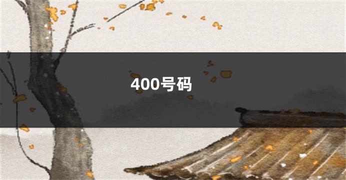 400号码