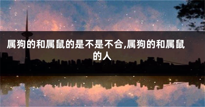 属狗的和属鼠的是不是不合,属狗的和属鼠的人