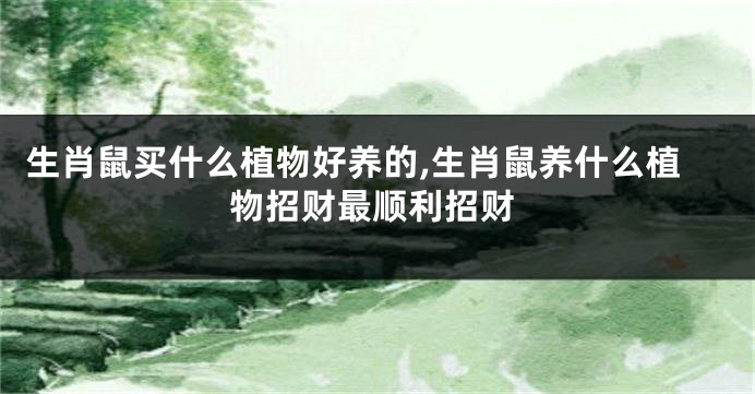 生肖鼠买什么植物好养的,生肖鼠养什么植物招财最顺利招财