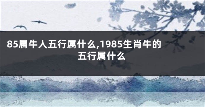 85属牛人五行属什么,1985生肖牛的五行属什么
