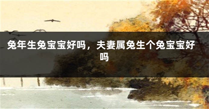 兔年生兔宝宝好吗，夫妻属兔生个兔宝宝好吗