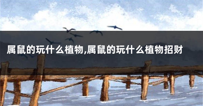 属鼠的玩什么植物,属鼠的玩什么植物招财