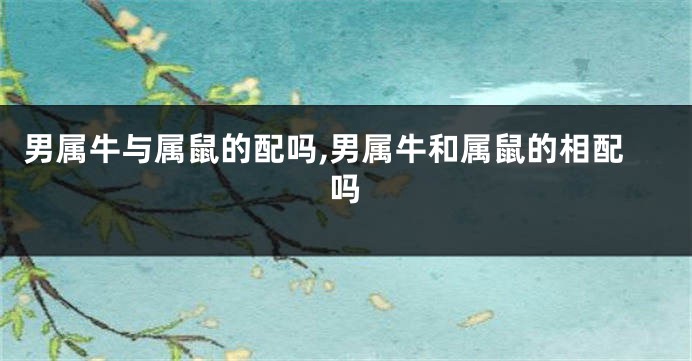 男属牛与属鼠的配吗,男属牛和属鼠的相配吗