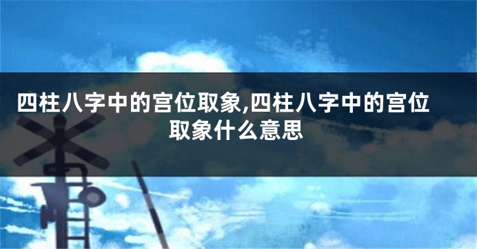 四柱八字中的宫位取象,四柱八字中的宫位取象什么意思