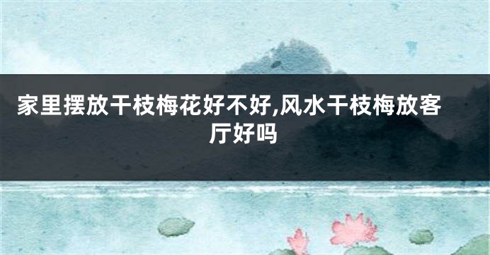 家里摆放干枝梅花好不好,风水干枝梅放客厅好吗
