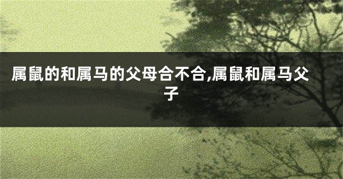 属鼠的和属马的父母合不合,属鼠和属马父子