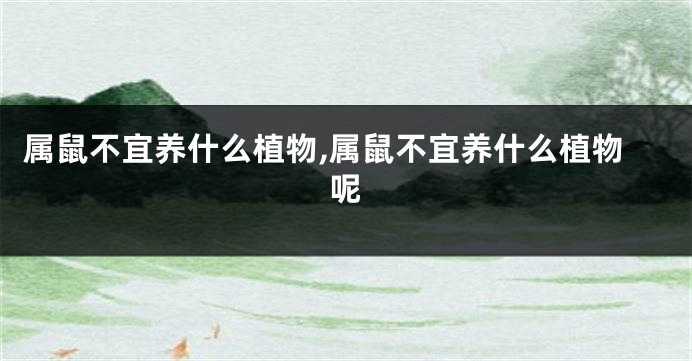 属鼠不宜养什么植物,属鼠不宜养什么植物呢