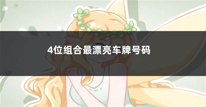 4位组合最漂亮车牌号码