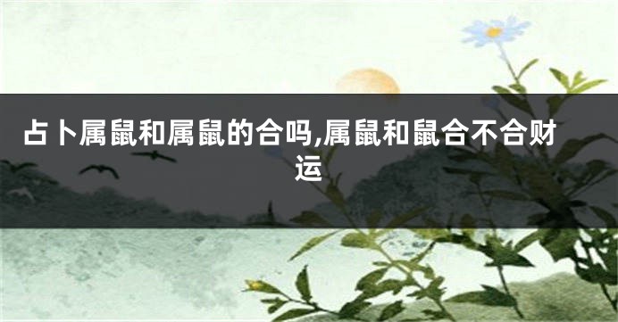 占卜属鼠和属鼠的合吗,属鼠和鼠合不合财运