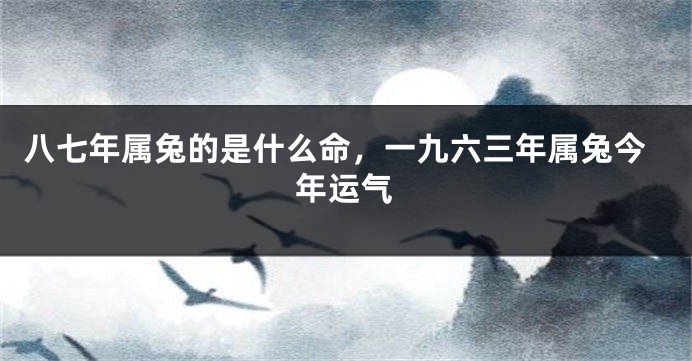 八七年属兔的是什么命，一九六三年属兔今年运气