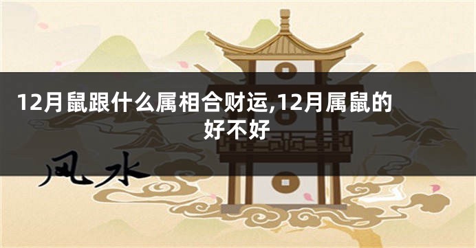 12月鼠跟什么属相合财运,12月属鼠的好不好