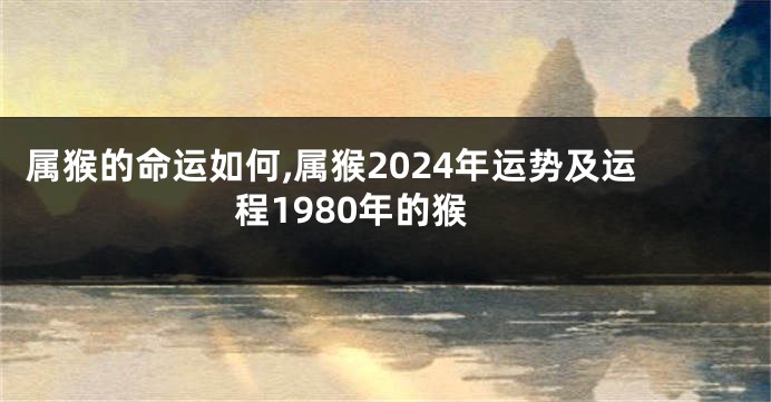 属猴的命运如何,属猴2024年运势及运程1980年的猴