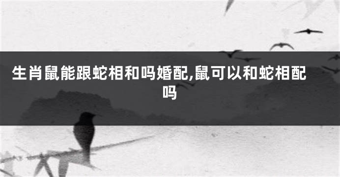 生肖鼠能跟蛇相和吗婚配,鼠可以和蛇相配吗