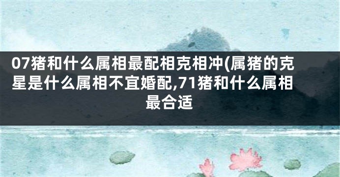 07猪和什么属相最配相克相冲(属猪的克星是什么属相不宜婚配,71猪和什么属相最合适