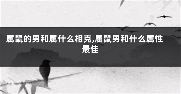 属鼠的男和属什么相克,属鼠男和什么属性最佳