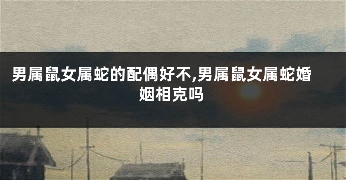 男属鼠女属蛇的配偶好不,男属鼠女属蛇婚姻相克吗
