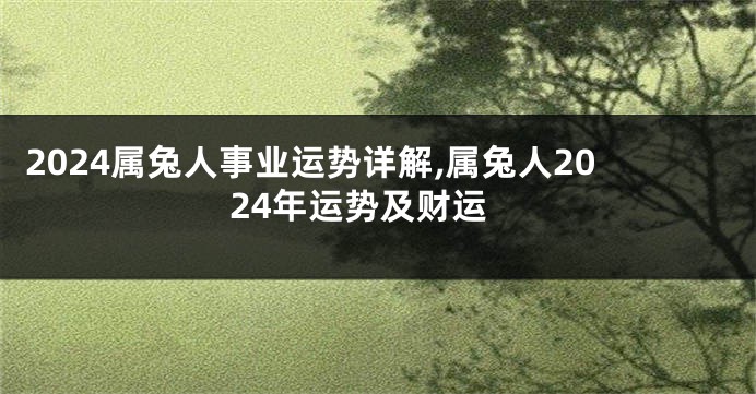 2024属兔人事业运势详解,属兔人2024年运势及财运