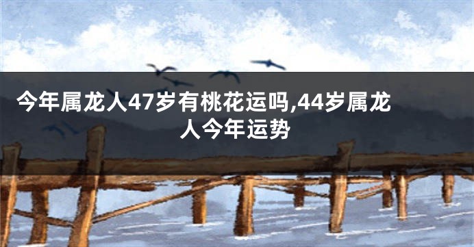 今年属龙人47岁有桃花运吗,44岁属龙人今年运势