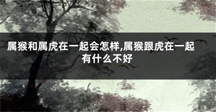 属猴和属虎在一起会怎样,属猴跟虎在一起有什么不好