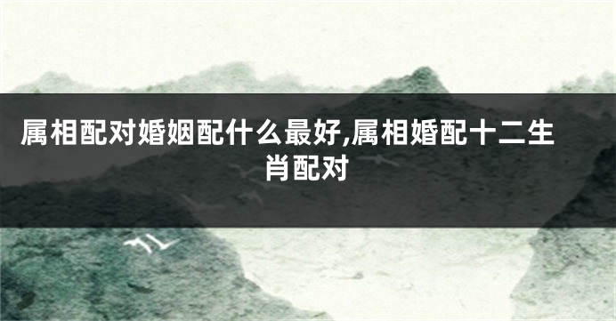 属相配对婚姻配什么最好,属相婚配十二生肖配对