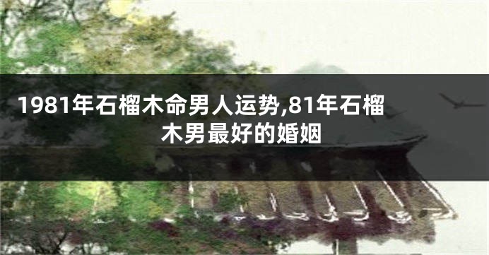 1981年石榴木命男人运势,81年石榴木男最好的婚姻