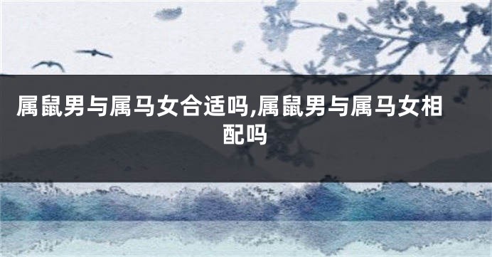 属鼠男与属马女合适吗,属鼠男与属马女相配吗