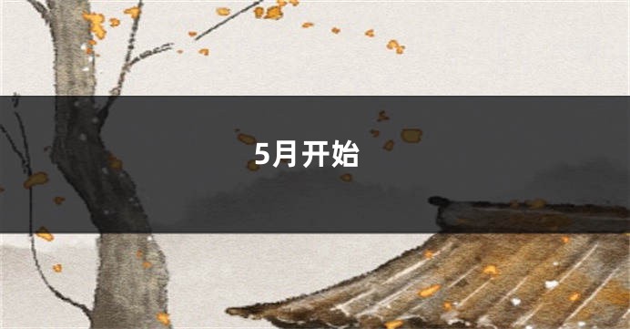 5月开始